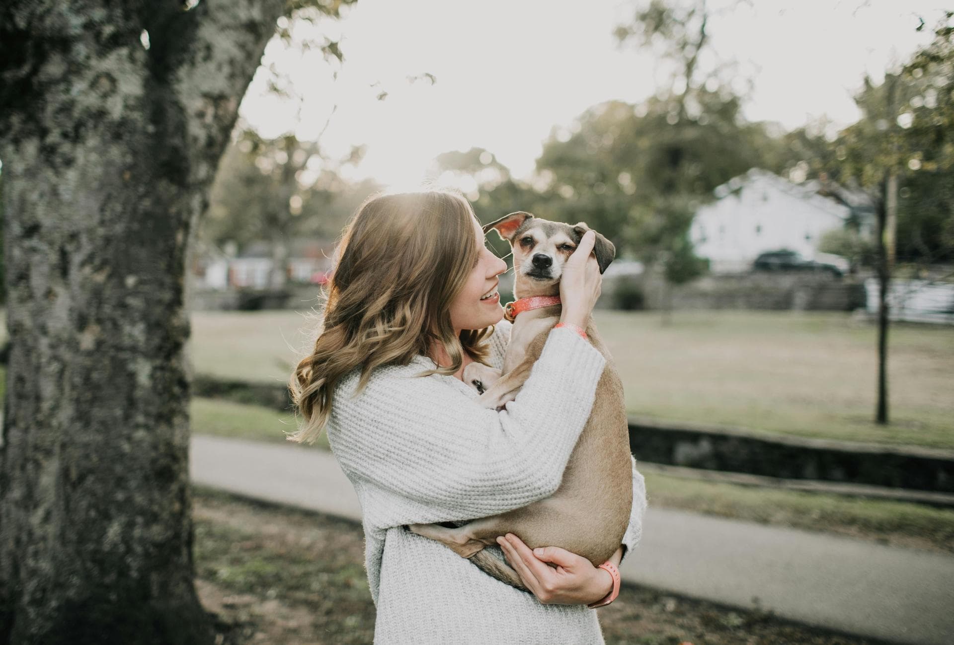 Dog & Cat Vets in Las Cruces
